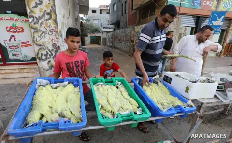 Palestinian vendors display salted fish at a market ahead of the Eid al-Fitr holiday in Gaza city on May 30, 2019. Eid al-Fitr marks the end of Muslim's holy fasting month of Ramadan when faithfuls abstain from eating, d...
