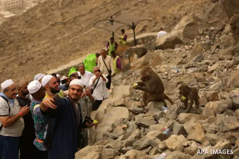 Muslim pilgrims feed desert monkeys at Mount Al-Noor during the annual haj pilgrimage in Mecca, on August 6, 2019. Mount Al-Noor houses Ghar-E-Hira or Hira cave, where Prophet Mohammad is said to have spent a great deal...