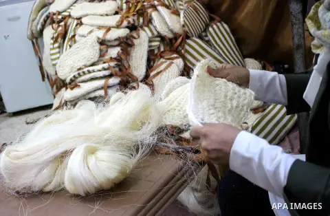 Palestinian woman make body loofahs at their house in the West Bank city of Hebron, on 27 August 2019. The fully developed fruit is the source of the loofah scrubbing sponge which is used in bathrooms and kitchens. Photo...