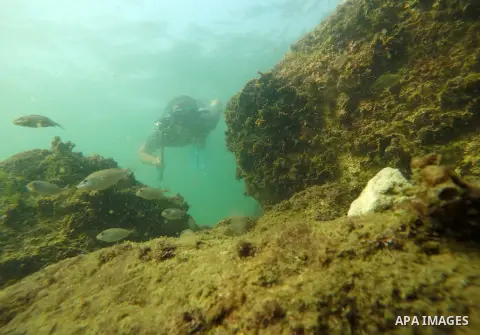 Palestinian photographer Mohammed Asad dives under water into the Mediterranean Sea, in Gaza city on October 23, 2019. Freediving, free-diving, free diving, breath-hold diving, or skin diving is a form of underwater divi...