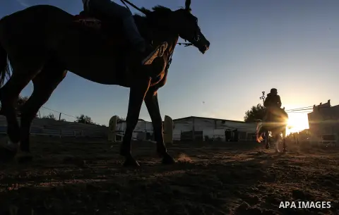 A Palestinian horse rider on his horse jumps over a barrier during the sixth championship of the Palestinian Equestrian Union in Gaza City ,on November 29 ,2019. Photo by Mahmoud Ajjour