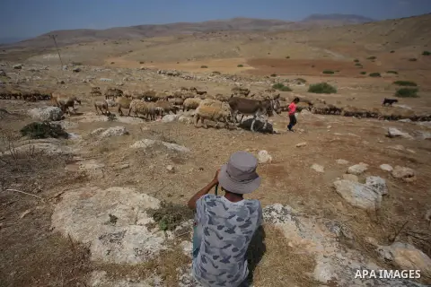Palestinian child Mohammed Kaabneh,15, grazing sheep near their tents in Khirbet Samra in the northern Jordan Valley, lands threatened with confiscation within Israel's plans to annex parts of the occupied West Bank, on...