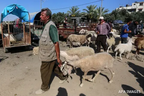 Palestinians gather at a live stock market, ahead of Eid al-Adha in Deir al-Balah, in the center of the Gaza Strip on July 8, 2020. As the low turnout on the buy sheep due to the deteriorating economic situation. Photo b...