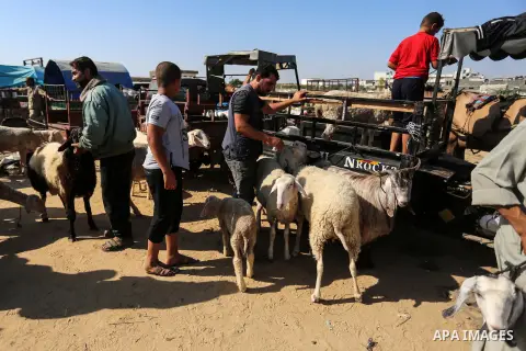 Palestinians gather at a live stock market, ahead of Eid al-Adha in Deir al-Balah, in the center of the Gaza Strip on July 8, 2020. As the low turnout on the buy sheep due to the deteriorating economic situation. Photo b...