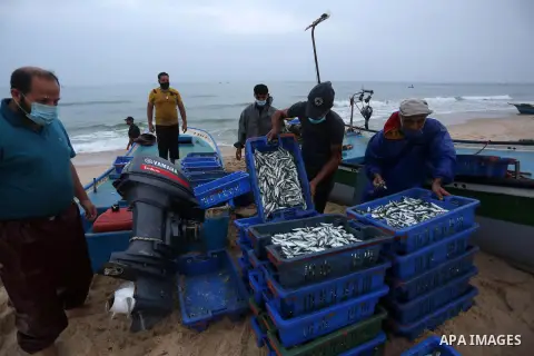 Palestinian fishermen collect caught fish from their nets in a boat on the beach in Deir al-Balah,in the central of Gaza Strip, on September 4, 2020. After Israel allowed fishermen back to work up to 15 nautical miles fo...