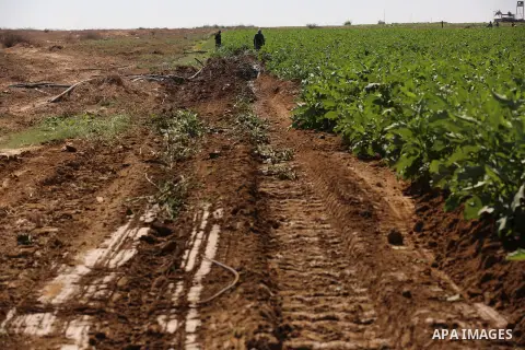 Israeli bulldozers work along a barbed wire, after they destroyed the farmers' lands near fence that separates Khan Yunis in the southern Gaza Strip and the Israeli border, on October 13, 2020. Photo by Ashraf Amra