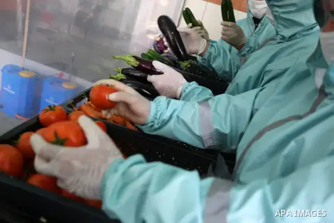 Palestinian workers sterilize the vegetables ordered by customers to be sanitized and delivered to their homes amid concerns about the spread of the coronavirus disease (COVID-19), in a delivery company in the central Ga...