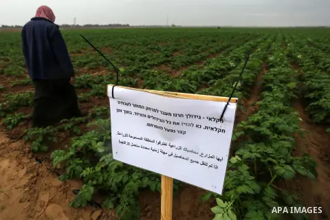 Palestinian farmers stand beside banners placed by the Israeli security forces on the borders of their farmland, demanding farmers to remove their agricultural crops, in Khan Yunis in the southern Gaza Strip on December...
