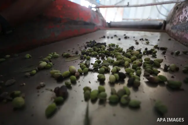 A Palestinian worker repairs and maintains olive pressing machines in Deir el-Balah, central Gaza Strip, on September 27, 2026, ahead of the olive harvest season. A number of olive presses were damaged by Israeli airstri...