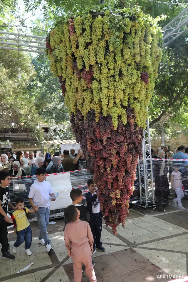 Palestinian farmers and residents take part in a grape festival in the Old City of Hebron, West Bank, on September 26, 2026, celebrating the grape harvest for which the area is known. The festival featured various grape...