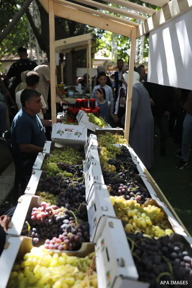 Palestinian farmers and residents take part in a grape festival in the Old City of Hebron, West Bank, on September 26, 2026, celebrating the grape harvest for which the area is known. The festival featured various grape...
