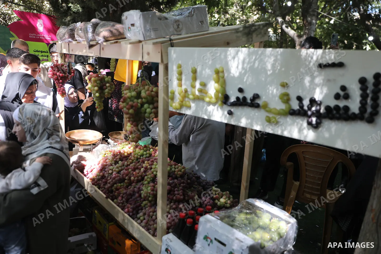 Palestinian farmers and residents take part in a grape festival in the Old City of Hebron, West Bank, on September 26, 2026, celebrating the grape harvest for which the area is known. The festival featured various grape...