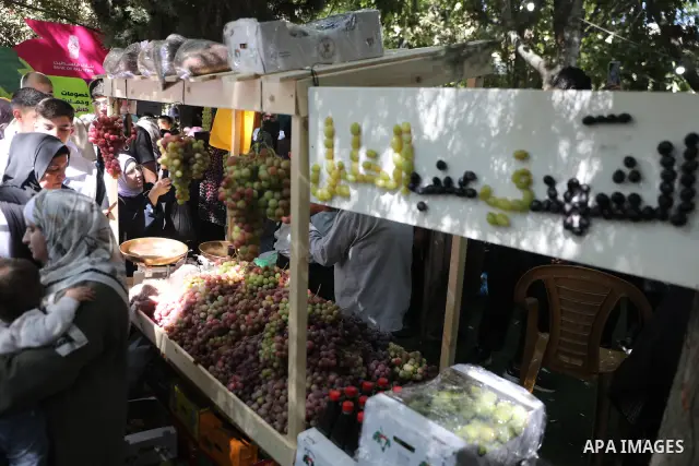 Palestinian farmers and residents take part in a grape festival in the Old City of Hebron, West Bank, on September 26, 2026, celebrating the grape harvest for which the area is known. The festival featured various grape...