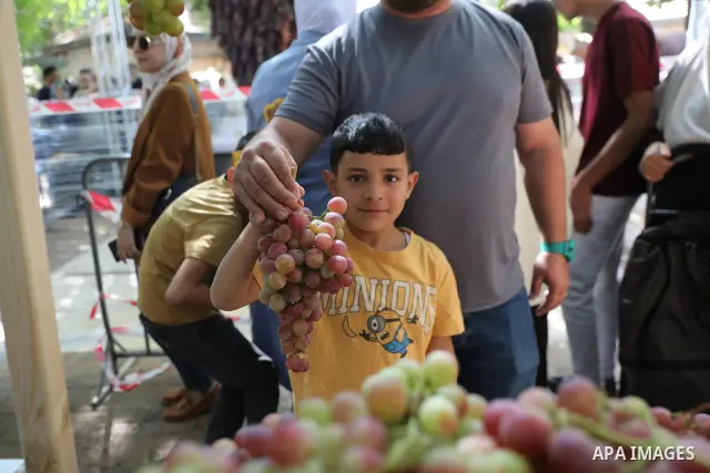 Palestinian farmers and residents take part in a grape festival in the Old City of Hebron, West Bank, on September 26, 2026, celebrating the grape harvest for which the area is known. The festival featured various grape...