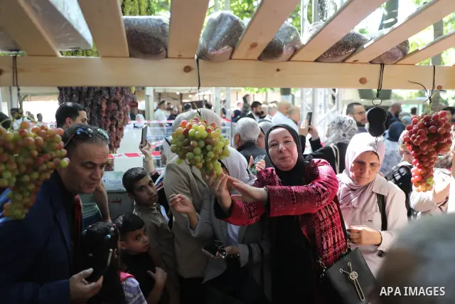 Palestinian farmers and residents take part in a grape festival in the Old City of Hebron, West Bank, on September 26, 2026, celebrating the grape harvest for which the area is known. The festival featured various grape...