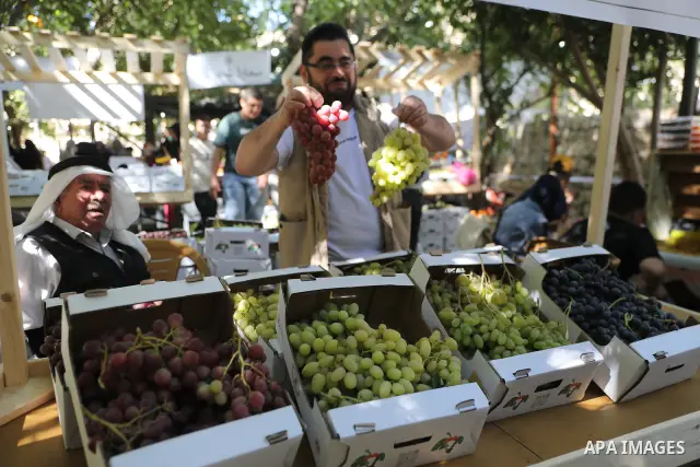 Palestinian farmers and residents take part in a grape festival in the Old City of Hebron, West Bank, on September 26, 2026, celebrating the grape harvest for which the area is known. The festival featured various grape...