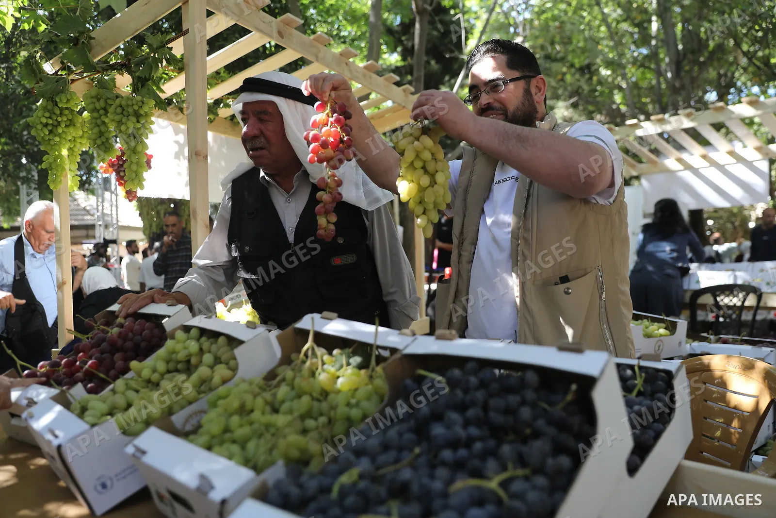 Palestinian farmers and residents take part in a grape festival in the Old City of Hebron, West Bank, on September 26, 2026, celebrating the grape harvest for which the area is known. The festival featured various grape...