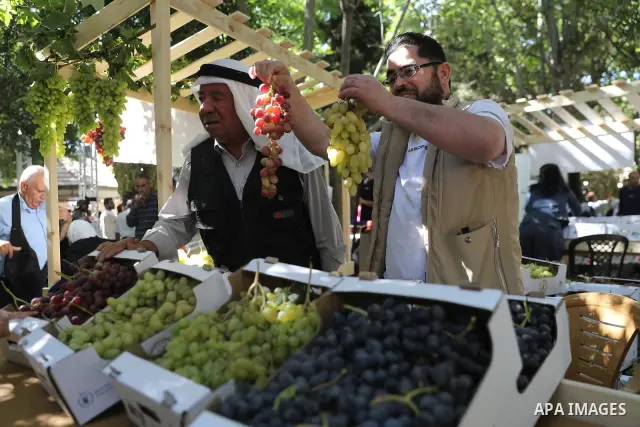 Palestinian farmers and residents take part in a grape festival in the Old City of Hebron, West Bank, on September 26, 2026, celebrating the grape harvest for which the area is known. The festival featured various grape...