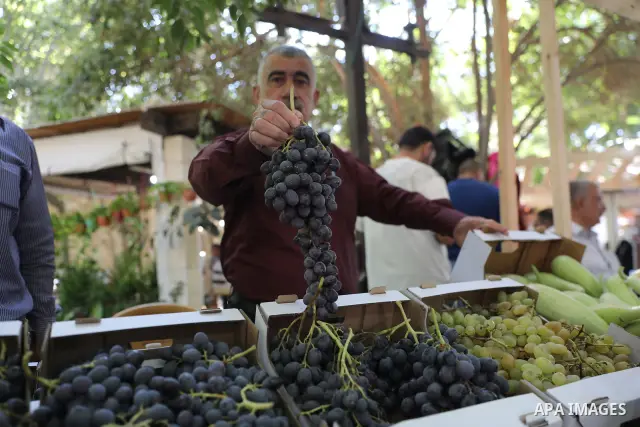 Palestinian farmers and residents take part in a grape festival in the Old City of Hebron, West Bank, on September 26, 2026, celebrating the grape harvest for which the area is known. The festival featured various grape...
