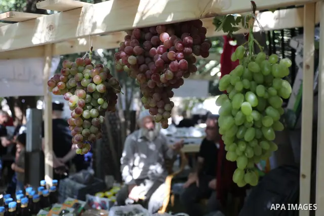 Palestinian farmers and residents take part in a grape festival in the Old City of Hebron, West Bank, on September 26, 2026, celebrating the grape harvest for which the area is known. The festival featured various grape...