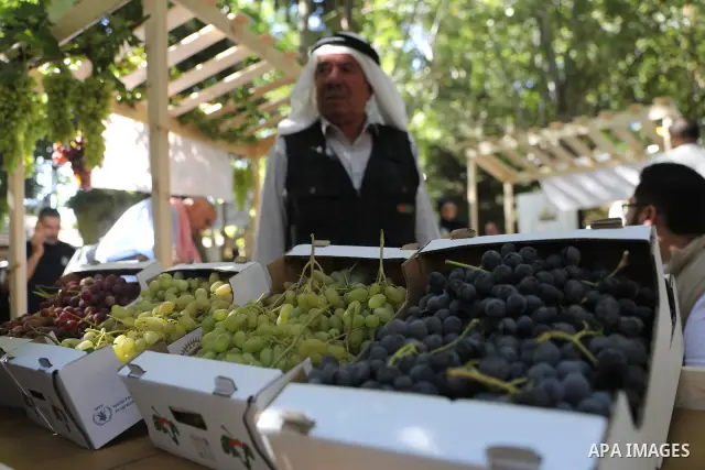 Palestinian farmers and residents take part in a grape festival in the Old City of Hebron, West Bank, on September 26, 2026, celebrating the grape harvest for which the area is known. The festival featured various grape...