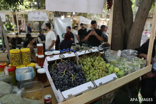 Palestinian farmers and residents take part in a grape festival in the Old City of Hebron, West Bank, on September 26, 2026, celebrating the grape harvest for which the area is known. The festival featured various grape...