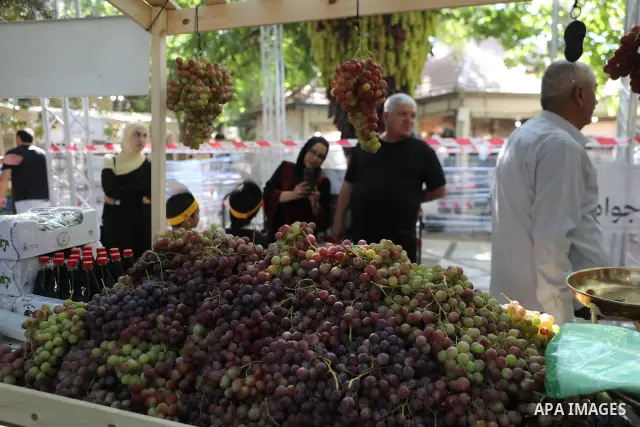 Palestinian farmers and residents take part in a grape festival in the Old City of Hebron, West Bank, on September 26, 2026, celebrating the grape harvest for which the area is known. The festival featured various grape...