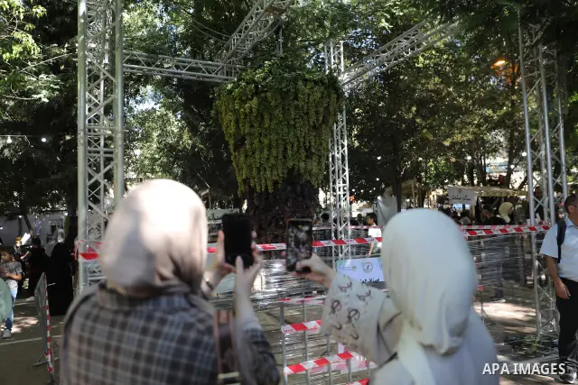 Palestinian farmers and residents take part in a grape festival in the Old City of Hebron, West Bank, on September 26, 2026, celebrating the grape harvest for which the area is known. The festival featured various grape...