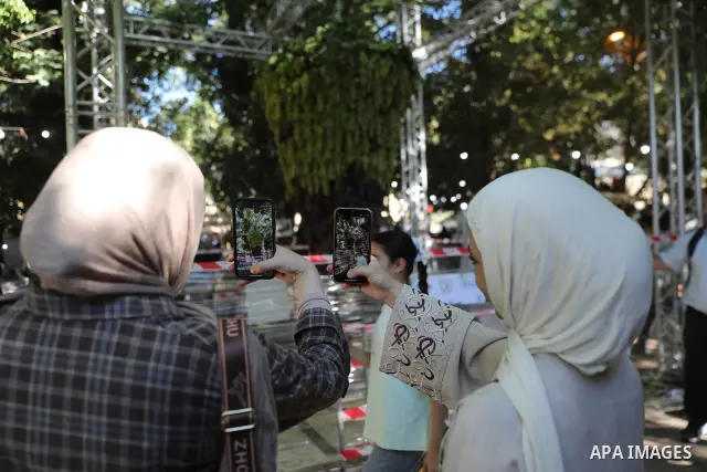 Palestinian farmers and residents take part in a grape festival in the Old City of Hebron, West Bank, on September 26, 2026, celebrating the grape harvest for which the area is known. The festival featured various grape...