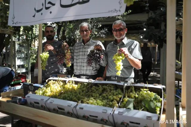 Palestinian farmers and residents take part in a grape festival in the Old City of Hebron, West Bank, on September 26, 2026, celebrating the grape harvest for which the area is known. The festival featured various grape...