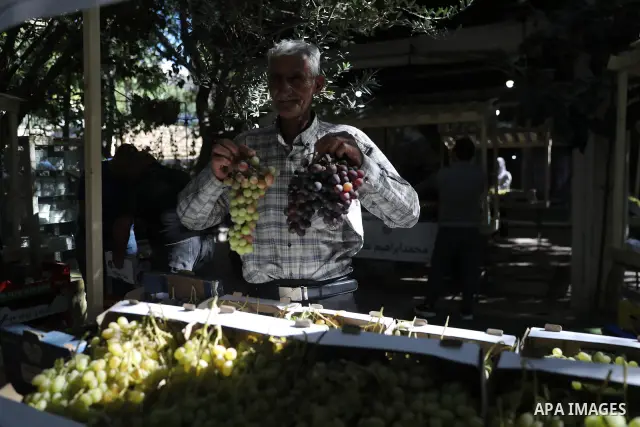 Palestinian farmers and residents take part in a grape festival in the Old City of Hebron, West Bank, on September 26, 2026, celebrating the grape harvest for which the area is known. The festival featured various grape...